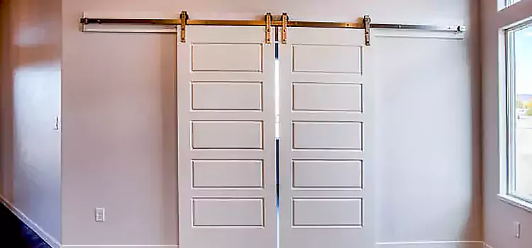 Glass Barn Door with Installation Hardware Kit Tucker